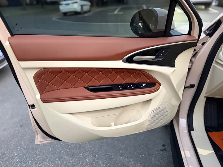 Ora Good Cat (03) 2024 2024款 401km 豪华型