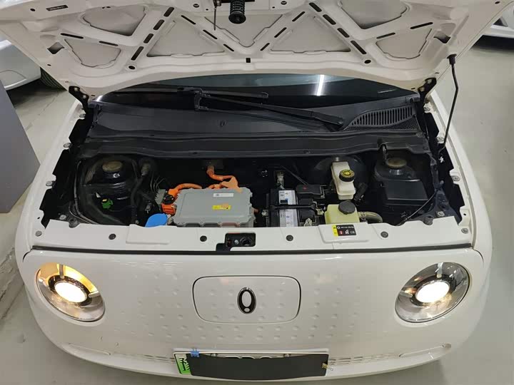 Ora Black Cat 2022 2022款 301km 基础型 三元锂