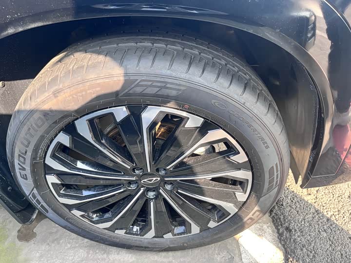 Chery Tiggo 9 2023 2023款 2.0T 自动两驱豪华版 7座