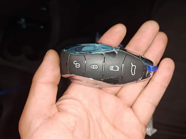 Hongqi HQ9 Hybrid 2024 2024款 2.0T 四驱商务版