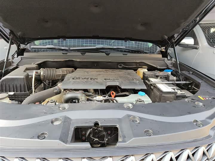 Great Wall Pao 2024 2024款 2.4T商用版自动柴油两驱精英型