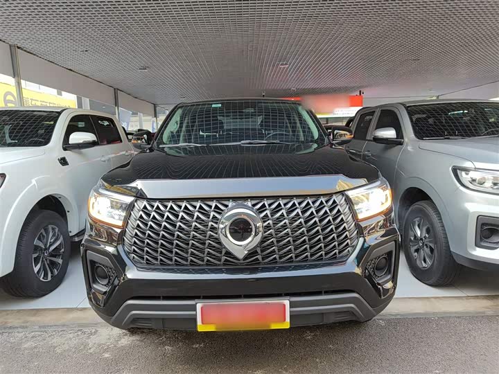 Great Wall Pao 2024 2024款 2.4T商用版自动柴油两驱精英型