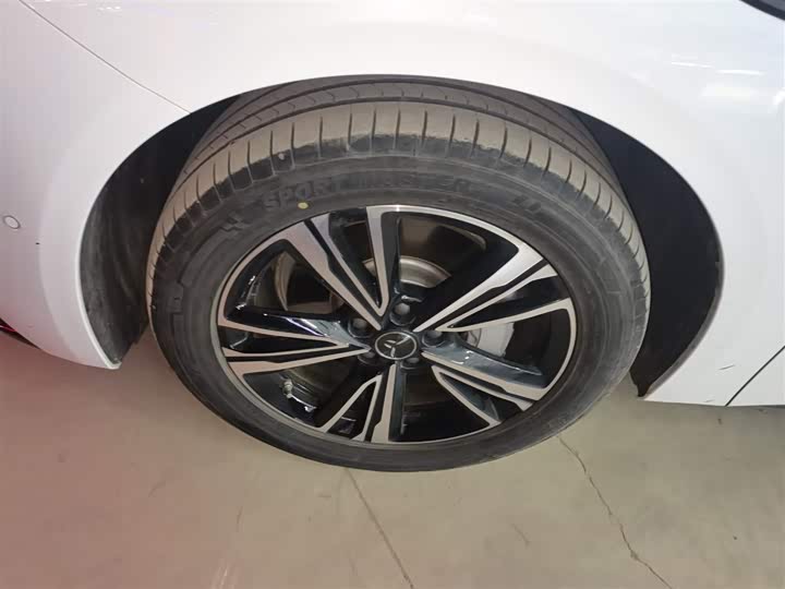 Hongqi EH7 2024 2024款 690 Pro