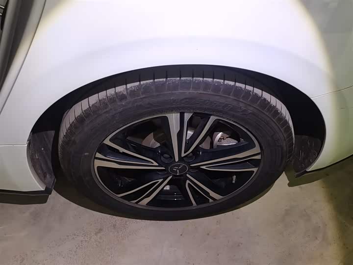 Hongqi EH7 2024 2024款 690 Pro