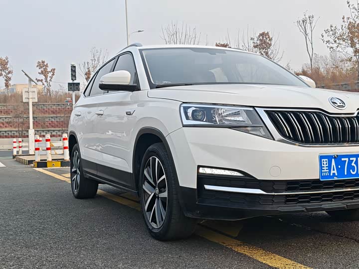 Skoda Kamiq 2022 2022款 1.5L 自动舒享版