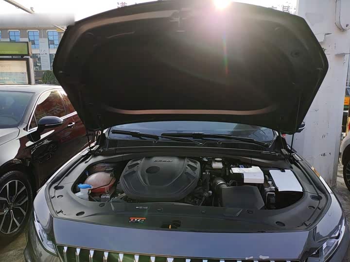 Geely Preface 2025 2025款 东方曜 2.0TD 望月版