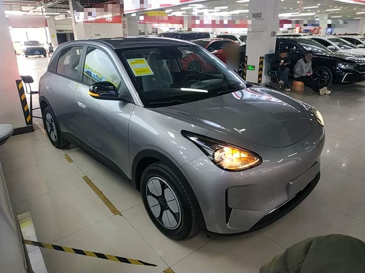 Geely Galaxy Geome 2026 2026款 310km 青春版