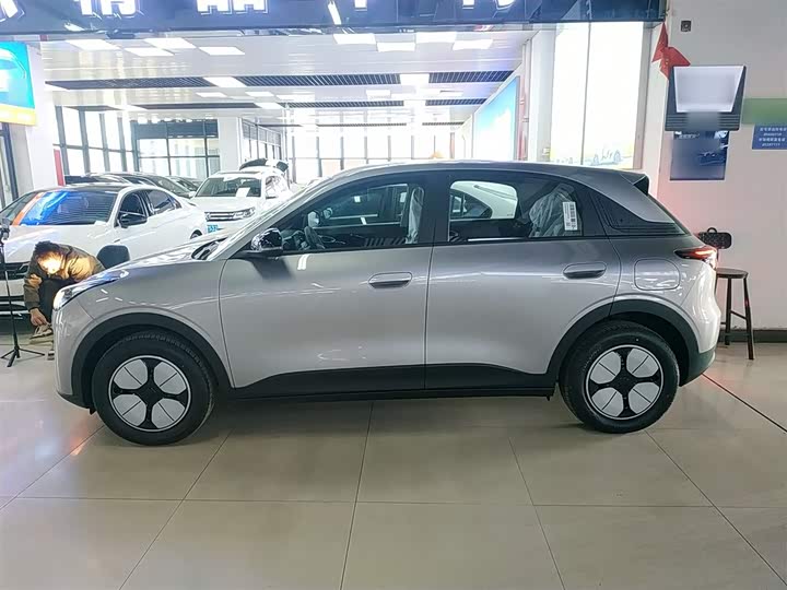 Geely Galaxy Geome 2026 2026款 310km 青春版