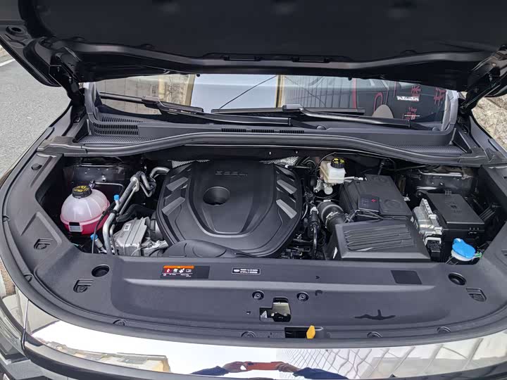 Geely Okavango L 2025 2025款 2.0T DCT尊享款