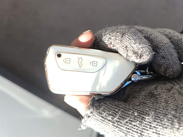 Volkswagen ID.4 X 2025 2025款 聪明款 纯净智享版