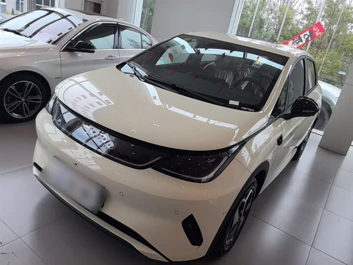 BYD Dolphin 2025 2025款 智驾版 420km 自由版