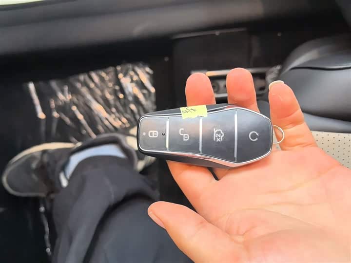 BYD Dolphin 2025 2025款 智驾版 420km 自由版