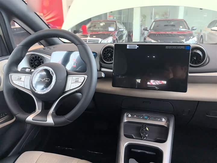 BYD Dolphin 2025 2025款 智驾版 420km 自由版