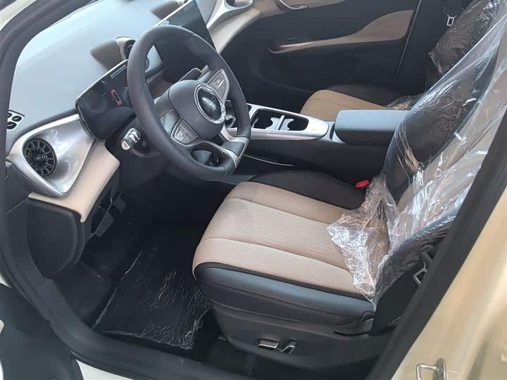 BYD Dolphin 2025 2025款 智驾版 420km 自由版