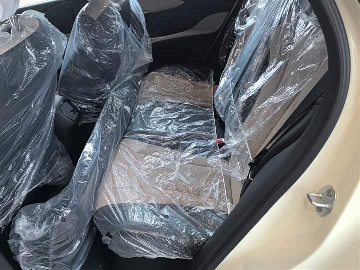 BYD Dolphin 2025 2025款 智驾版 420km 自由版