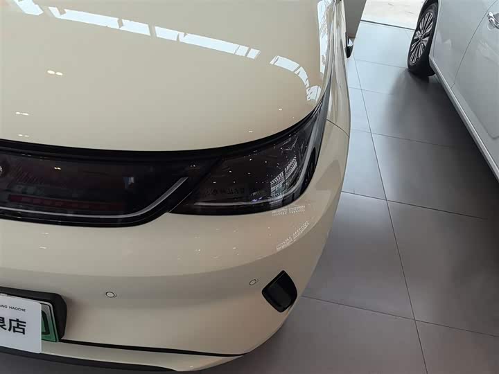 BYD Dolphin 2025 2025款 智驾版 420km 自由版