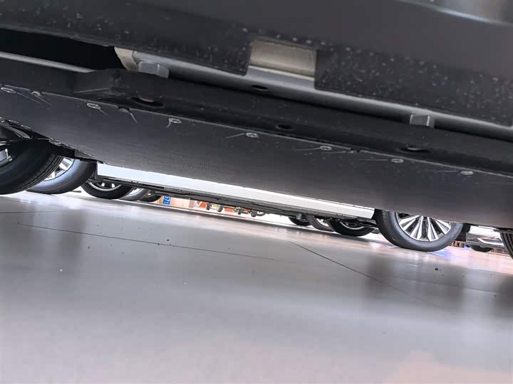 BYD Dolphin 2025 2025款 智驾版 420km 自由版