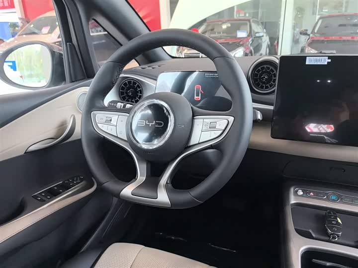 BYD Dolphin 2025 2025款 智驾版 420km 自由版