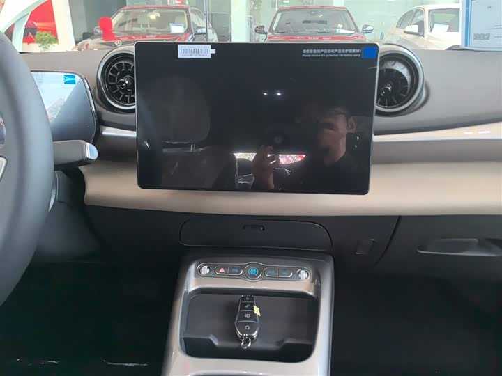 BYD Dolphin 2025 2025款 智驾版 420km 自由版