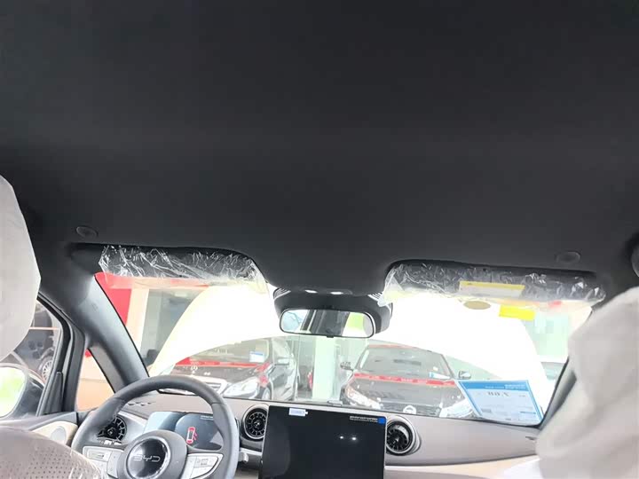 BYD Dolphin 2025 2025款 智驾版 420km 自由版