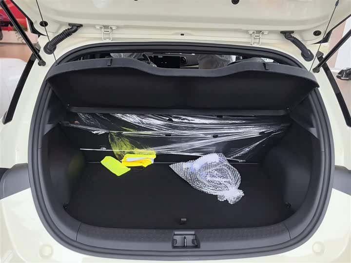 BYD Dolphin 2025 2025款 智驾版 420km 自由版