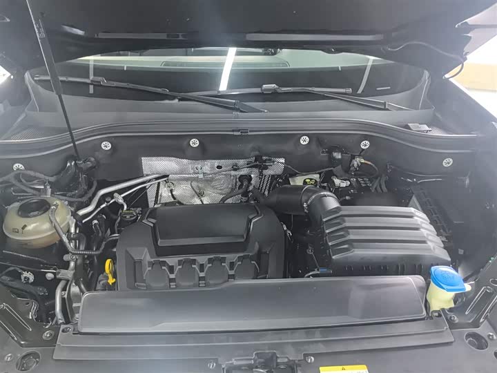 Volkswagen Teramont Pro 2024 2024款 380TSI 四驱尊崇豪华版