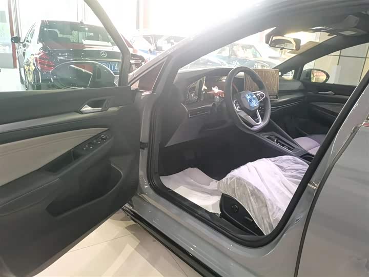 Volkswagen Golf 2025 2025款 改款 300TSI R-Line