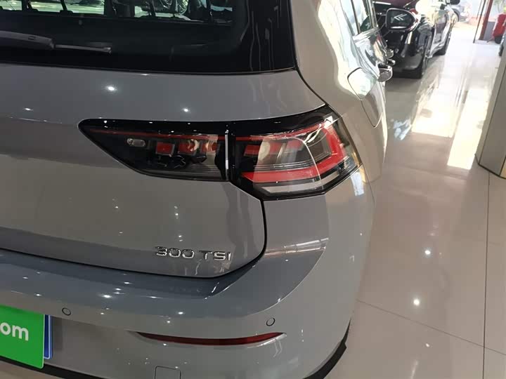 Volkswagen Golf 2025 2025款 改款 300TSI R-Line