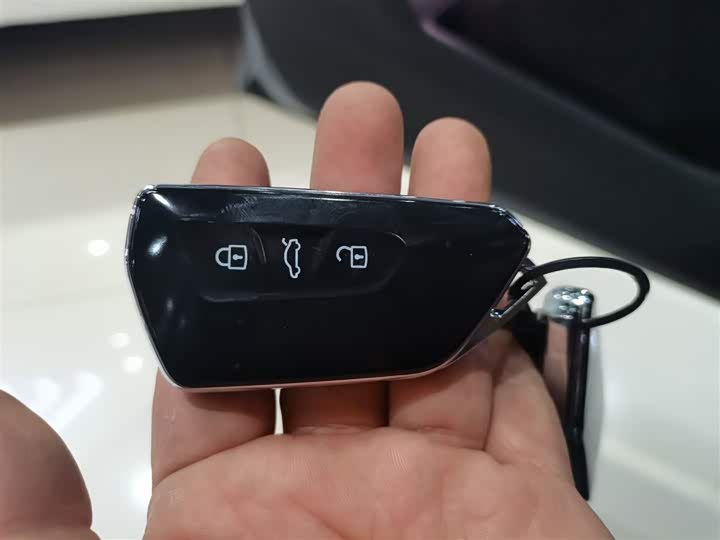 Volkswagen Golf 2025 2025款 改款 300TSI R-Line