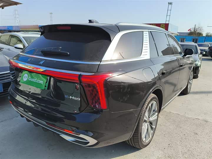 Hongqi E-HS9 2022 2022款 690km 旗享版 六座