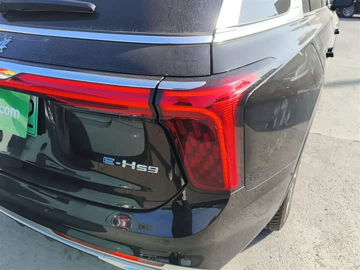 Hongqi E-HS9 2022 2022款 690km 旗享版 六座