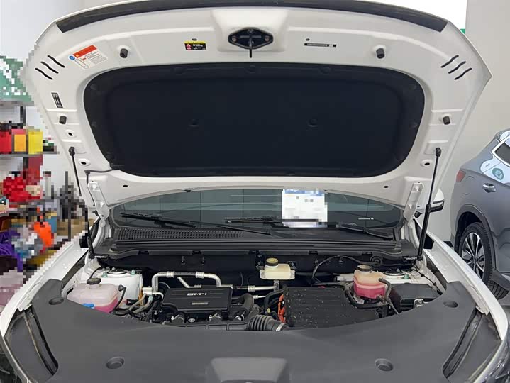 BYD Song Pro Hybrid 2025 2025款 第二代 智驾版 DM-i 75KM超越型