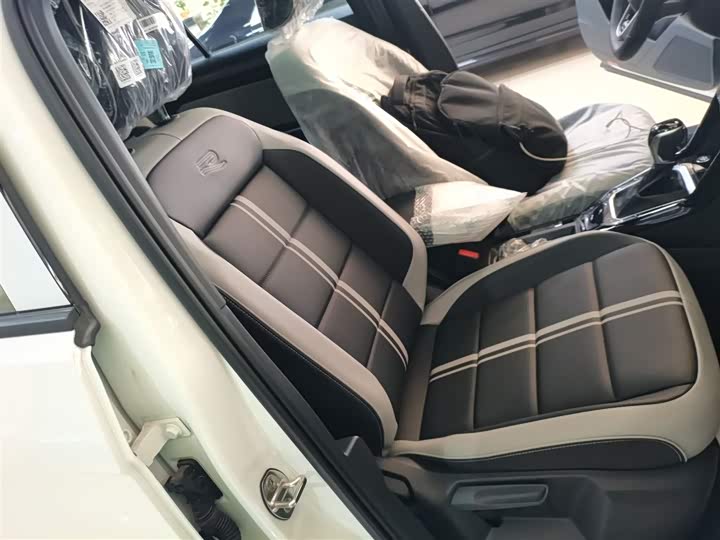 Volkswagen T-Roc 2025 2025款 改款二 300TSI DSG两驱星光版