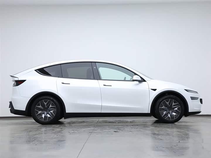 Tesla Model Y 2025 2025款 长续航全轮驱动版
