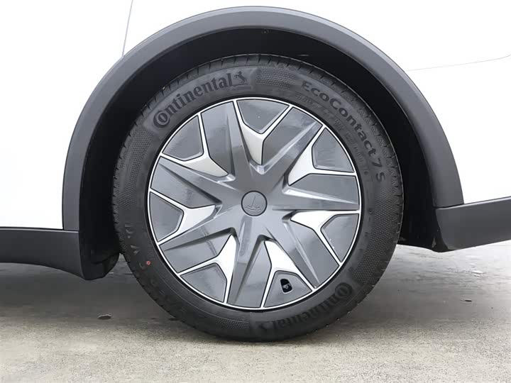 Tesla Model Y 2025 2025款 长续航全轮驱动版