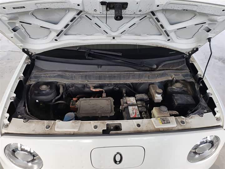 Ora Black Cat 2022 2022款 301km 基础型 三元锂