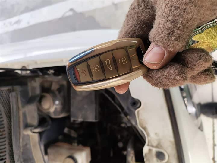 Ora Black Cat 2022 2022款 301km 基础型 三元锂