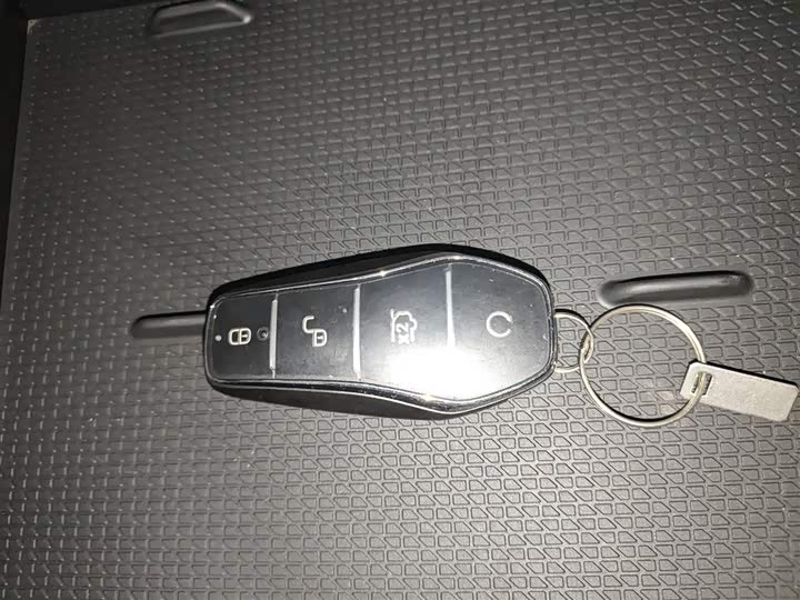 BYD Yuan Up 2025 2025款 301KM 领航型