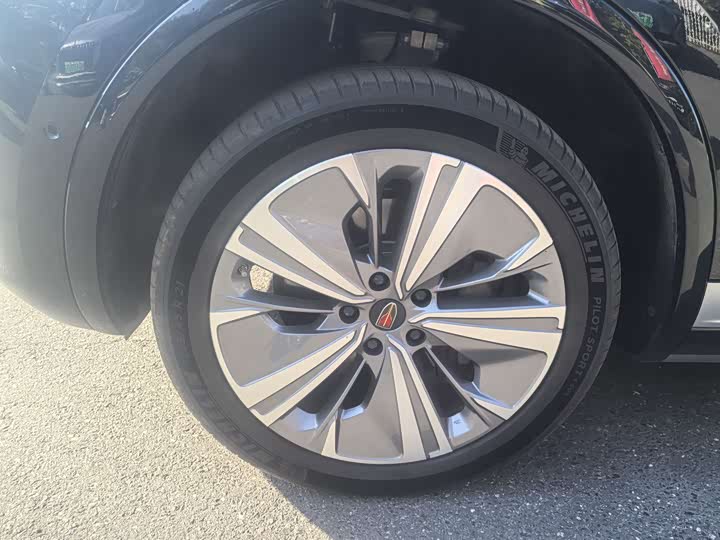 Hongqi E-HS9 2022 2022款 660km 旗畅版 六座