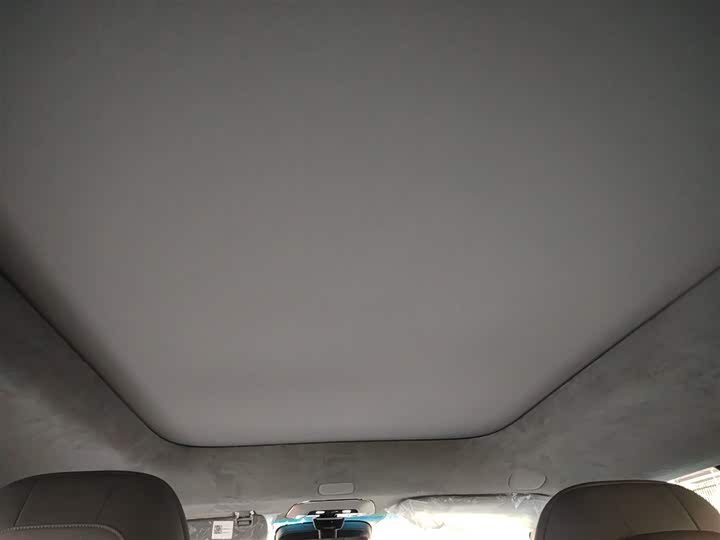 Zeekr Mix 2025 2025款 智驾版