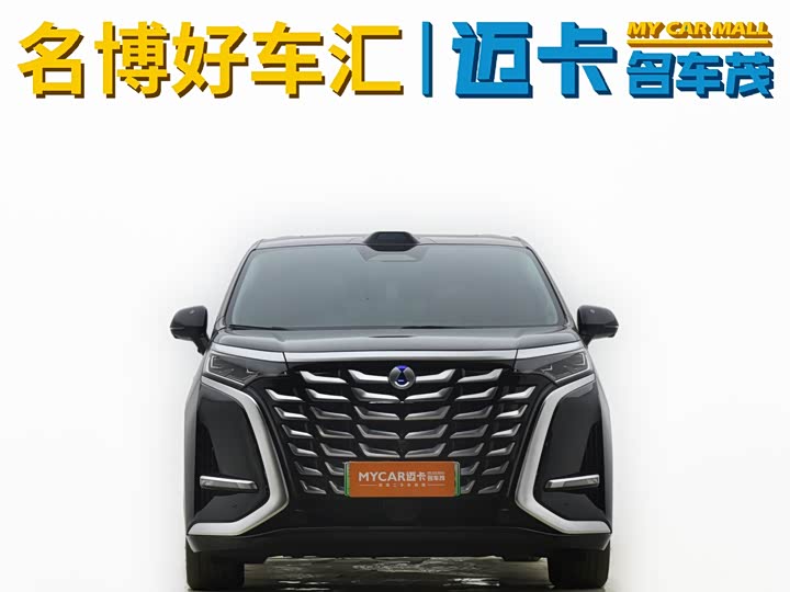 Denza D9 2025 2025款 DM-i 智驾版 1020 四驱尊荣型