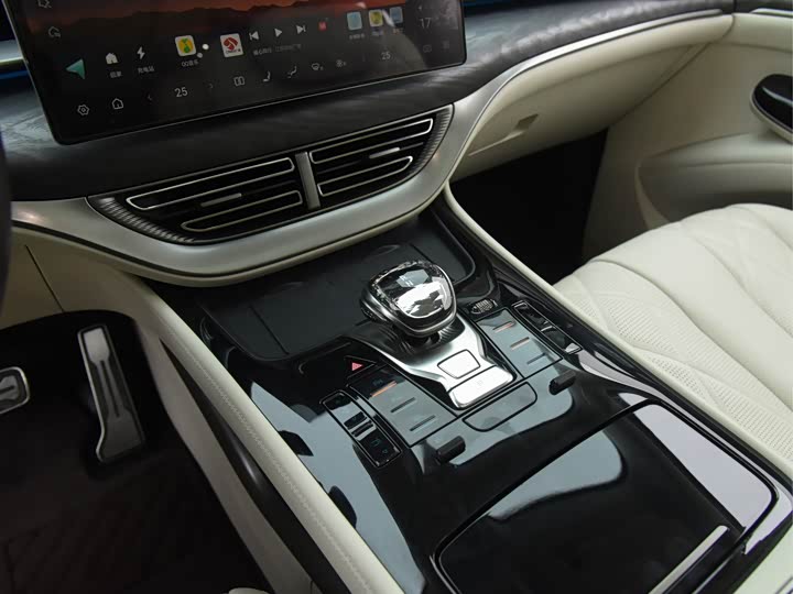 Denza D9 2025 2025款 DM-i 智驾版 1020 四驱尊荣型