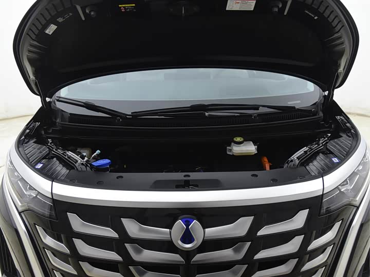 Denza D9 2025 2025款 DM-i 智驾版 1020 四驱尊荣型