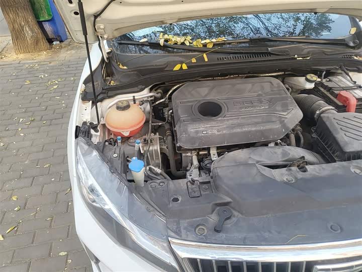 Geely Emgrand GL 2021 2021款 UP 1.4T CVT领尚型