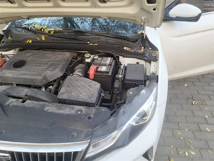 Geely Emgrand GL 2021 2021款 UP 1.4T CVT领尚型