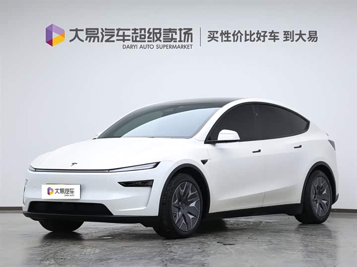 Tesla Model Y 2025 2025款 长续航全轮驱动版