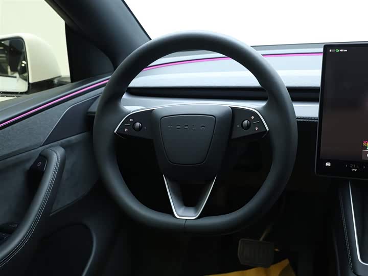 Tesla Model Y 2025 2025款 长续航全轮驱动版