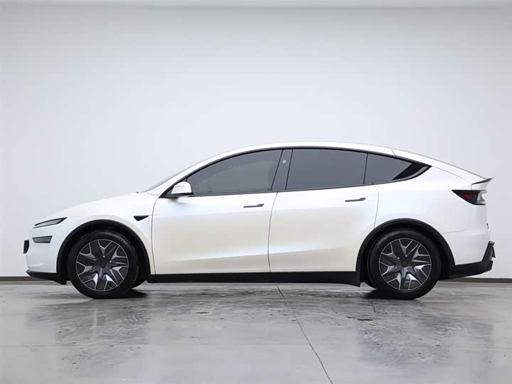 Tesla Model Y 2025 2025款 长续航全轮驱动版