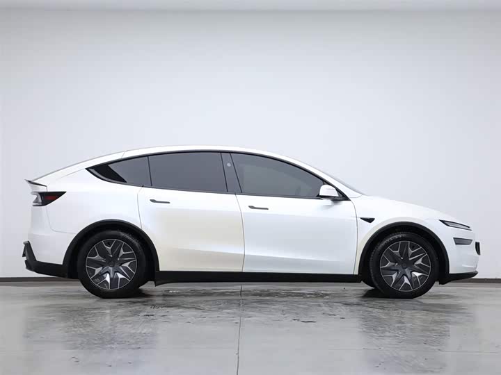 Tesla Model Y 2025 2025款 长续航全轮驱动版