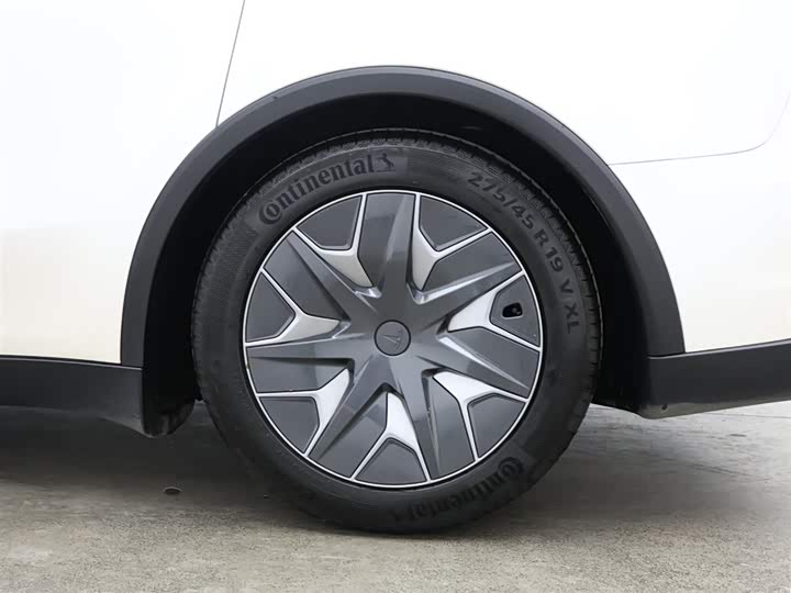 Tesla Model Y 2025 2025款 长续航全轮驱动版